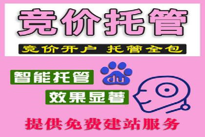 Sem优化公司案例：精准广告投放策略解析